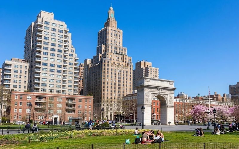 New York University