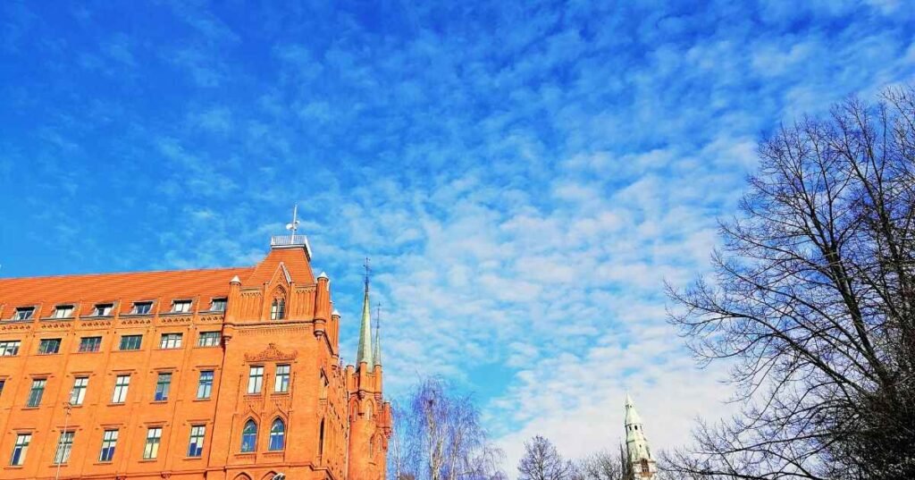 Scholarships for International Students